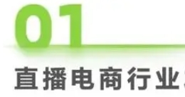 2023年中国直播电商行业研究报告