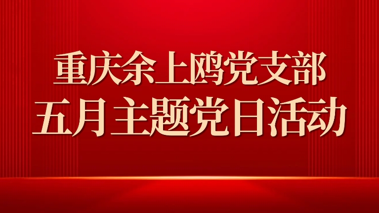 重庆余上鸥党支部开展5月主题党日活动